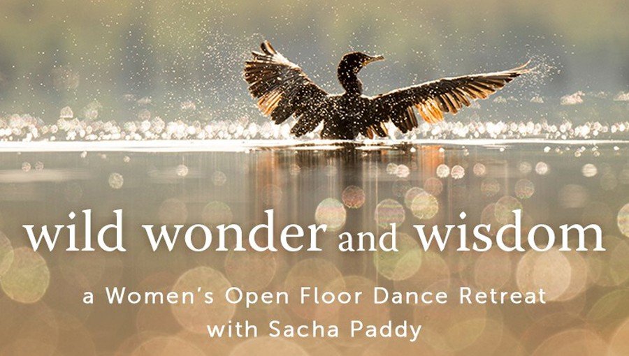 Wild Wonder Wisdom, a Womens Retreat with Sacha Paddy, Open Floor Dance